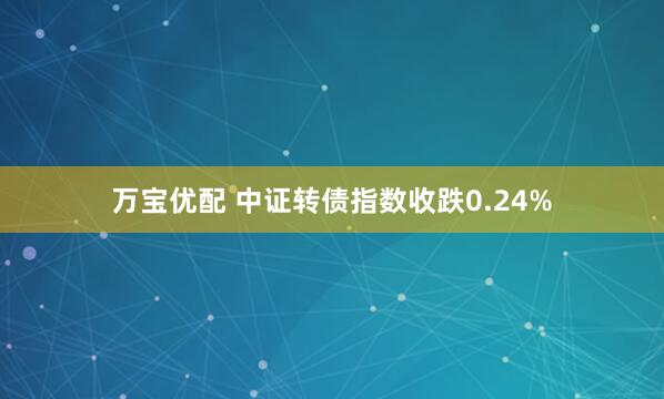 万宝优配 中证转债指数收跌0.24%