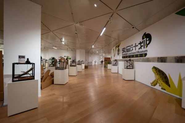 长宏策略 新华文创·明珠美术馆“虫启计划”活体昆虫博物馆特展在沪开幕