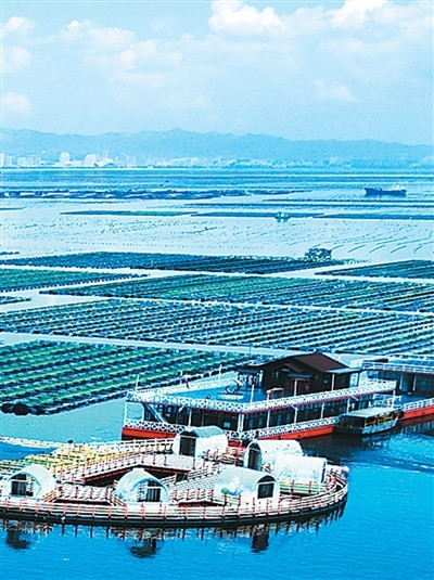出彩速配 海洋经济发展势头强劲