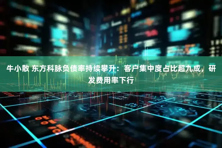 牛小散 东方科脉负债率持续攀升：客户集中度占比超九成，研发费用率下行